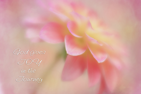 Joy For The Journey by Mary Jo Allen Joy For The Journey by Mary Jo Allen