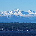 Olympic Mountains From Shoreline
